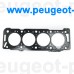 0209X4, Citroen/Peugeot, Прокладка ГБЦ PSA Berlingo, Partner 1.9D mot.DW8 (1.42 mm)