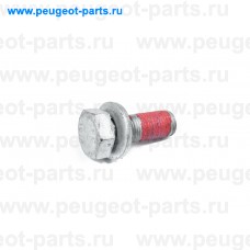 440541, Citroen/Peugeot, Болт крепления суппорта для Fiat Ducato 250, Citroen Jumper 3, Peugeot Boxer 3