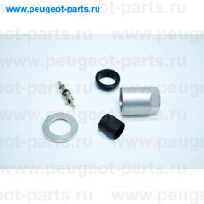 541205, Citroen/Peugeot, Ремкомплект датчика давления в шине PSA 307,407,807,C4,C5,C8