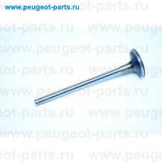 R6157/S, Freccia, Клапан впускной для Citroen Xsara Picasso, Citroen C5, Citroen C5 2, Citroen Xsara, Peugeot 407, Peugeot 406