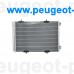 385400, Kale, Радиатор кондиционера для Peugeot 207