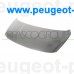 PG5203100, Prasco, Капот для Peugeot 3008